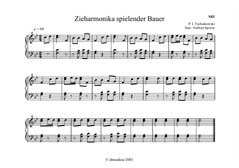 Zieharmonika spielender Bauer